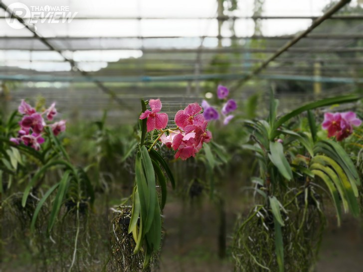 HUAWEI GR5 2017 สมาร์ทโฟนกล้องคู่ อู้หู ราคาไม่ถึงหมื่น