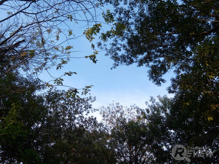 Aston Luxury S สมาร์ทโฟนดีไซน์หรูเซลฟี่ตัวแม่ กล้องหน้า 13 ล้าน ราคาเบา