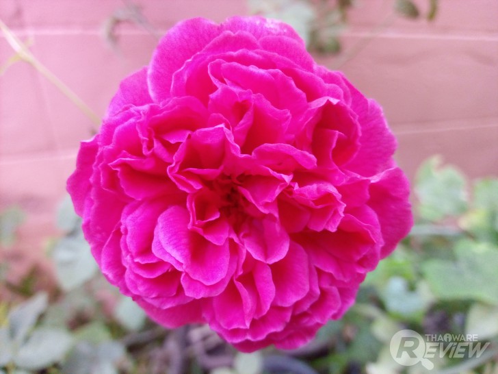 ASTON Idea 3 Plus สมาร์ทโฟนระดับกลาง สเปกคุ้มราคา มี Gyrosensor ไว้เล่น VR จอใหญ่สะใจ