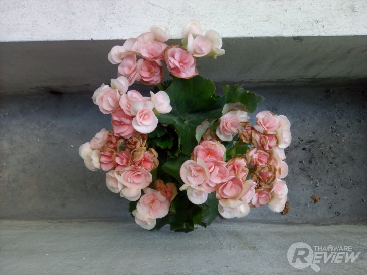 ASTON Idea 3 Plus สมาร์ทโฟนระดับกลาง สเปกคุ้มราคา มี Gyrosensor ไว้เล่น VR จอใหญ่สะใจ