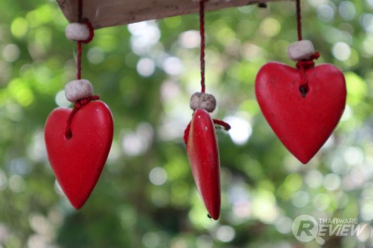 Canon EOS M6 มิลเลอร์เลสระดับจริงจัง กะทัดรัดเบาสบาย ได้ภาพสวย