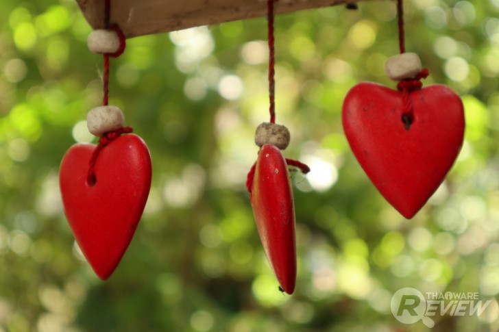 Canon EOS M6 มิลเลอร์เลสระดับจริงจัง กะทัดรัดเบาสบาย ได้ภาพสวย