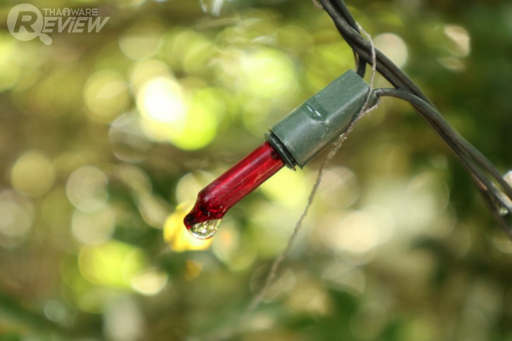 Canon EOS M6 มิลเลอร์เลสระดับจริงจัง กะทัดรัดเบาสบาย ได้ภาพสวย