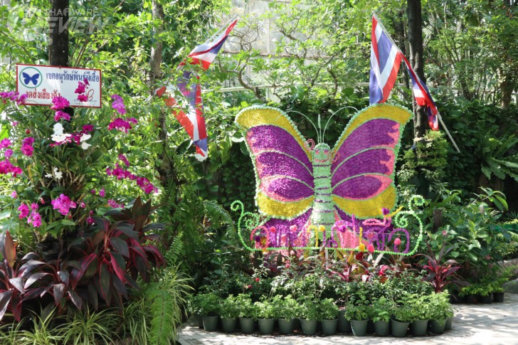 Canon EOS M6 มิลเลอร์เลสระดับจริงจัง กะทัดรัดเบาสบาย ได้ภาพสวย