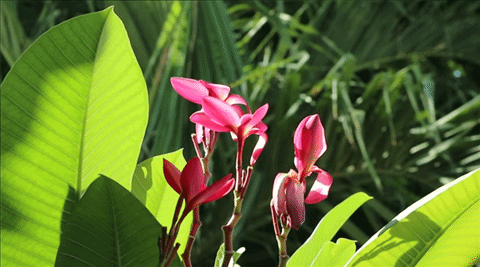 Canon EOS M6 มิลเลอร์เลสระดับจริงจัง กะทัดรัดเบาสบาย ได้ภาพสวย