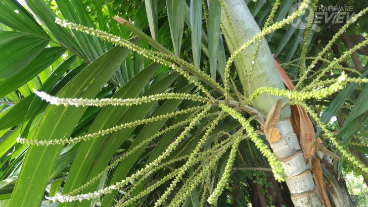 Xiaomi Mi MiX หมวยจอยักษ์ รักไร้พรมแดน กับดีไซน์ไร้ขอบ สวยสะกดทุกสายตาเมื่อแรกพบ