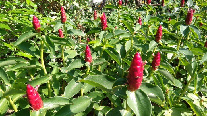 Xiaomi Mi MiX หมวยจอยักษ์ รักไร้พรมแดน กับดีไซน์ไร้ขอบ สวยสะกดทุกสายตาเมื่อแรกพบ