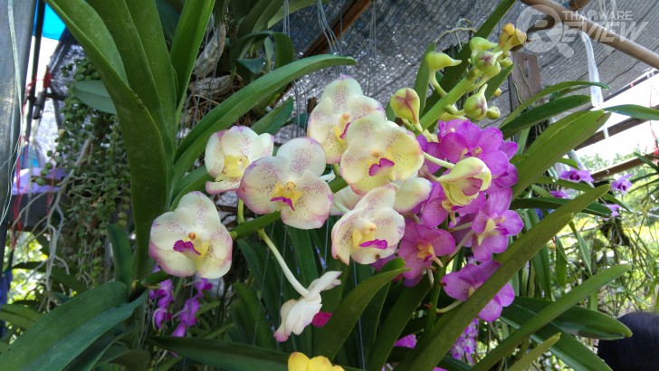 Xiaomi Mi MiX หมวยจอยักษ์ รักไร้พรมแดน กับดีไซน์ไร้ขอบ สวยสะกดทุกสายตาเมื่อแรกพบ