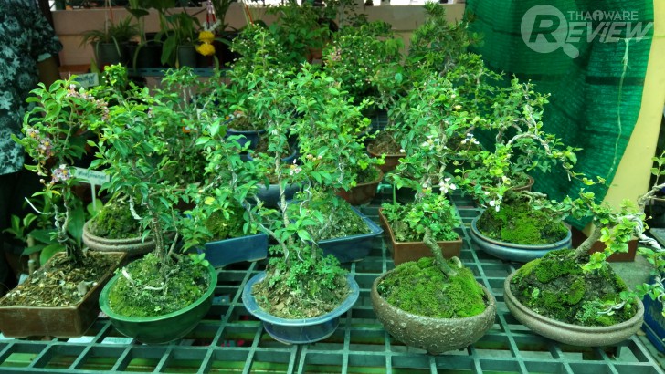 Xiaomi Mi MiX หมวยจอยักษ์ รักไร้พรมแดน กับดีไซน์ไร้ขอบ สวยสะกดทุกสายตาเมื่อแรกพบ