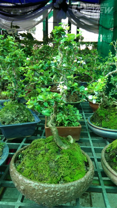 Xiaomi Mi MiX หมวยจอยักษ์ รักไร้พรมแดน กับดีไซน์ไร้ขอบ สวยสะกดทุกสายตาเมื่อแรกพบ