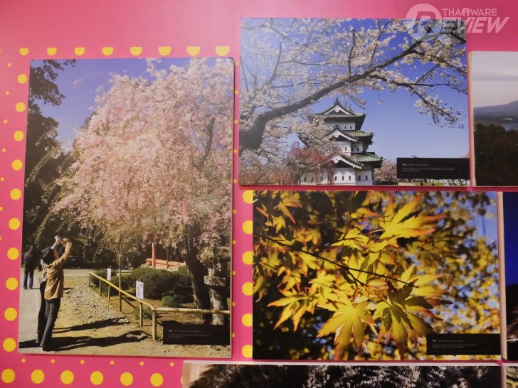 Moto G5 Plus สมาร์ทโฟนแอนดรอยด์ระดับกลาง พร้อมดีไซน์และกล้องระดับพรีเมี่ยม