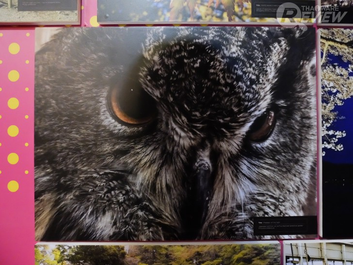 Moto G5 Plus สมาร์ทโฟนแอนดรอยด์ระดับกลาง พร้อมดีไซน์และกล้องระดับพรีเมี่ยม