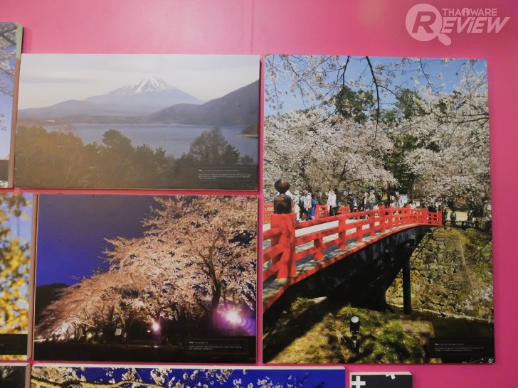 Moto G5 Plus สมาร์ทโฟนแอนดรอยด์ระดับกลาง พร้อมดีไซน์และกล้องระดับพรีเมี่ยม