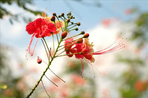 PhotoStage Slideshow Producer ตัดต่อคลิปวิดีโอง่ายๆ ได้ดั่งใจ