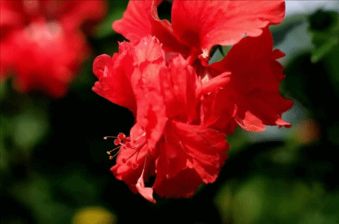 PhotoStage Slideshow Producer ตัดต่อคลิปวิดีโอง่ายๆ ได้ดั่งใจ