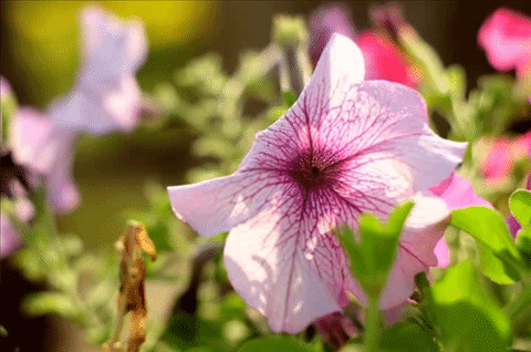 PhotoStage Slideshow Producer ตัดต่อคลิปวิดีโอง่ายๆ ได้ดั่งใจ