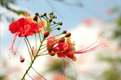 PhotoStage Slideshow Producer ตัดต่อคลิปวิดีโอง่ายๆ ได้ดั่งใจ