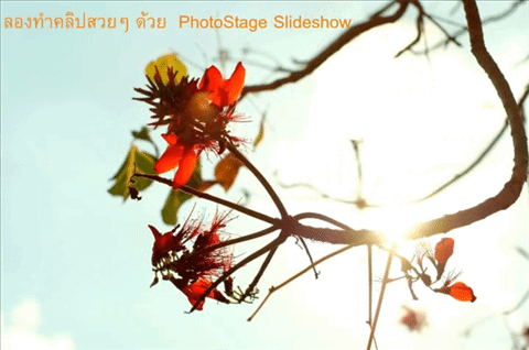 PhotoStage Slideshow Producer ตัดต่อคลิปวิดีโอง่ายๆ ได้ดั่งใจ