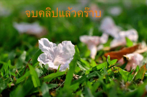 PhotoStage Slideshow Producer ตัดต่อคลิปวิดีโอง่ายๆ ได้ดั่งใจ