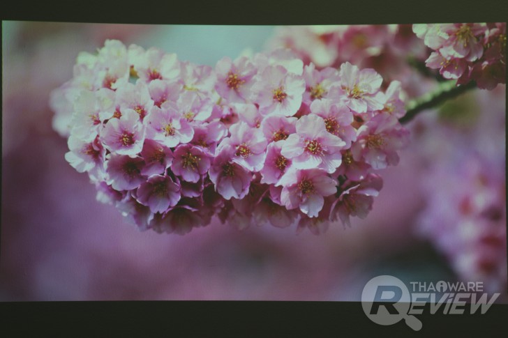 Casio XJ-A257 สลิมโปรเจคเตอร์บางเบา ภาพสวย สะดวกด้วยการฉายผ่านสมาร์ทโฟน