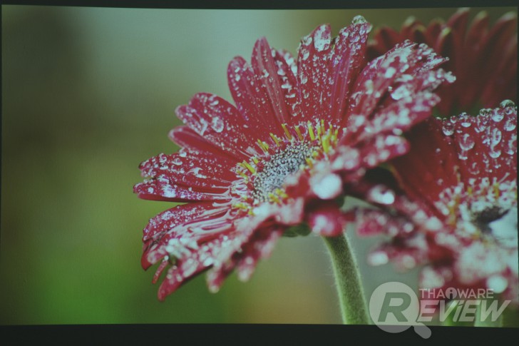 Casio XJ-A257 สลิมโปรเจคเตอร์บางเบา ภาพสวย สะดวกด้วยการฉายผ่านสมาร์ทโฟน