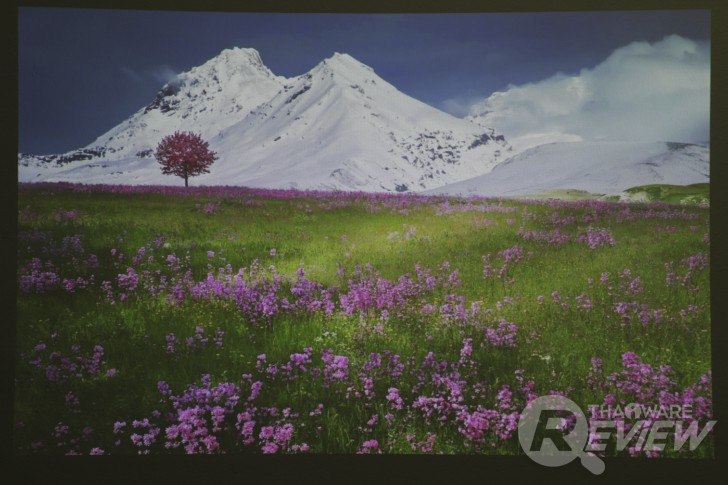 Casio XJ-A257 สลิมโปรเจคเตอร์บางเบา ภาพสวย สะดวกด้วยการฉายผ่านสมาร์ทโฟน