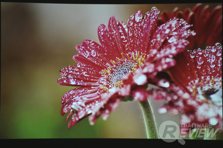 Casio XJ-A257 สลิมโปรเจคเตอร์บางเบา ภาพสวย สะดวกด้วยการฉายผ่านสมาร์ทโฟน