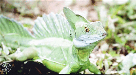 Casio XJ-A257 สลิมโปรเจคเตอร์บางเบา ภาพสวย สะดวกด้วยการฉายผ่านสมาร์ทโฟน Casio XJ-A257 สลิมโปรเจคเตอร์บางเบา ภาพสวย สะดวกด้วยการฉายผ่านสมาร์ทโฟน