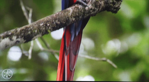 Casio XJ-A257 สลิมโปรเจคเตอร์บางเบา ภาพสวย สะดวกด้วยการฉายผ่านสมาร์ทโฟน Casio XJ-A257 สลิมโปรเจคเตอร์บางเบา ภาพสวย สะดวกด้วยการฉายผ่านสมาร์ทโฟน