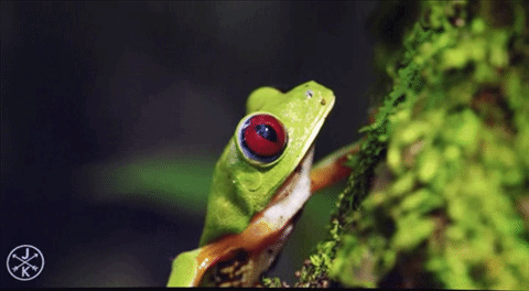 Casio XJ-A257 สลิมโปรเจคเตอร์บางเบา ภาพสวย สะดวกด้วยการฉายผ่านสมาร์ทโฟน Casio XJ-A257 สลิมโปรเจคเตอร์บางเบา ภาพสวย สะดวกด้วยการฉายผ่านสมาร์ทโฟน