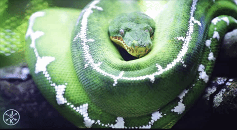 Casio XJ-A257 สลิมโปรเจคเตอร์บางเบา ภาพสวย สะดวกด้วยการฉายผ่านสมาร์ทโฟน Casio XJ-A257 สลิมโปรเจคเตอร์บางเบา ภาพสวย สะดวกด้วยการฉายผ่านสมาร์ทโฟน