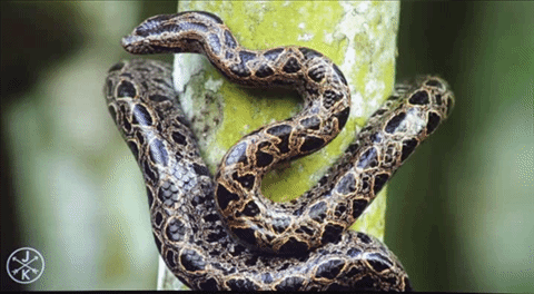 Casio XJ-A257 สลิมโปรเจคเตอร์บางเบา ภาพสวย สะดวกด้วยการฉายผ่านสมาร์ทโฟน Casio XJ-A257 สลิมโปรเจคเตอร์บางเบา ภาพสวย สะดวกด้วยการฉายผ่านสมาร์ทโฟน