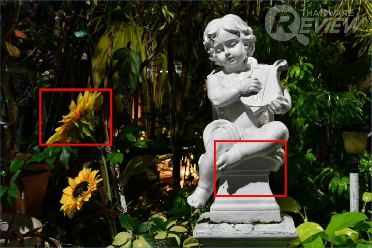 Nikon D7500 กล้อง DSLR ไซส์ APS-C กึ่งโปร รองรับการถ่ายวิดีโอ 4K การันตีรางวัลจาก EISA