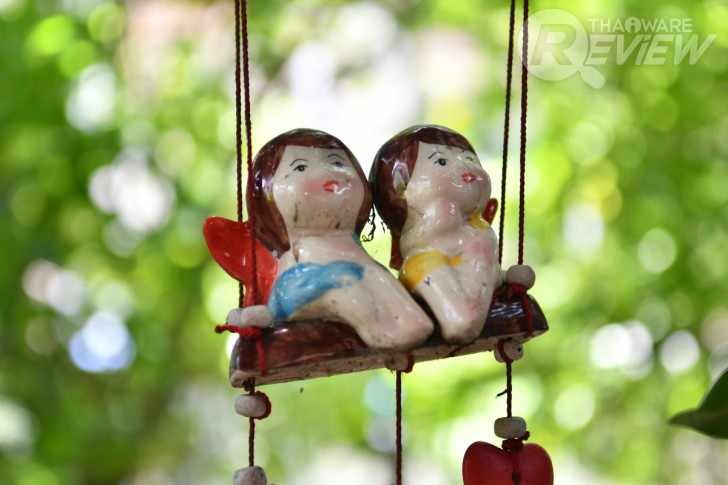 Nikon D7500 กล้อง DSLR ไซส์ APS-C กึ่งโปร รองรับการถ่ายวิดีโอ 4K การันตีรางวัลจาก EISA