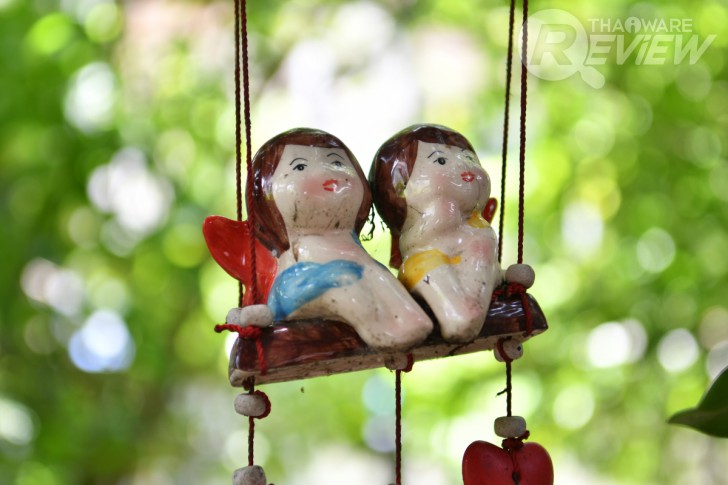 Nikon D7500 กล้อง DSLR ไซส์ APS-C กึ่งโปร รองรับการถ่ายวิดีโอ 4K การันตีรางวัลจาก EISA