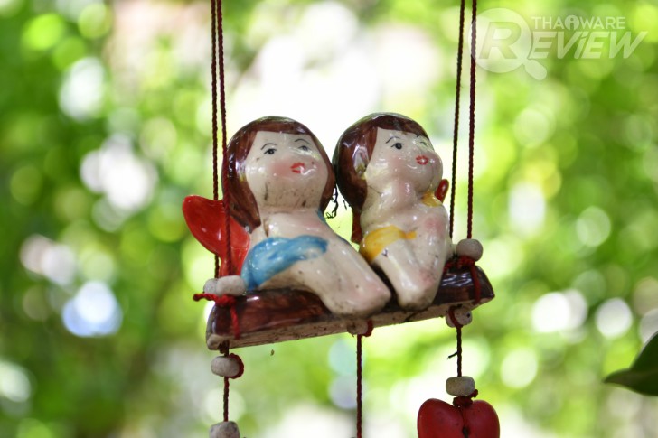 Nikon D7500 กล้อง DSLR ไซส์ APS-C กึ่งโปร รองรับการถ่ายวิดีโอ 4K การันตีรางวัลจาก EISA