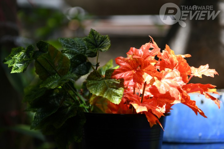 Nikon D7500 กล้อง DSLR ไซส์ APS-C กึ่งโปร รองรับการถ่ายวิดีโอ 4K การันตีรางวัลจาก EISA