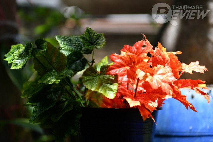 Nikon D7500 กล้อง DSLR ไซส์ APS-C กึ่งโปร รองรับการถ่ายวิดีโอ 4K การันตีรางวัลจาก EISA