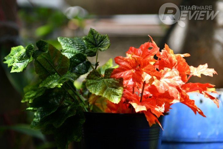 Nikon D7500 กล้อง DSLR ไซส์ APS-C กึ่งโปร รองรับการถ่ายวิดีโอ 4K การันตีรางวัลจาก EISA