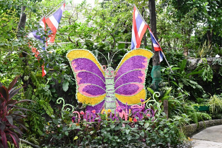 Nikon D7500 กล้อง DSLR ไซส์ APS-C กึ่งโปร รองรับการถ่ายวิดีโอ 4K การันตีรางวัลจาก EISA