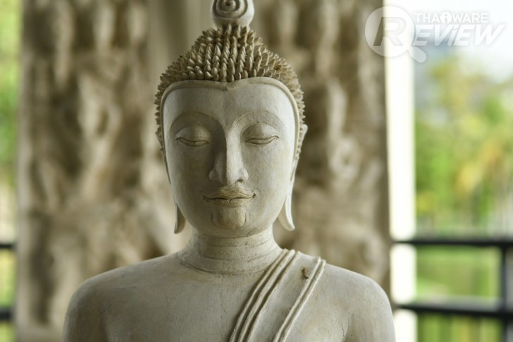 Nikon D7500 กล้อง DSLR ไซส์ APS-C กึ่งโปร รองรับการถ่ายวิดีโอ 4K การันตีรางวัลจาก EISA