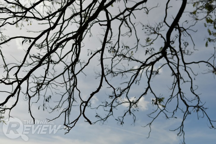 Nikon D7500 กล้อง DSLR ไซส์ APS-C กึ่งโปร รองรับการถ่ายวิดีโอ 4K การันตีรางวัลจาก EISA