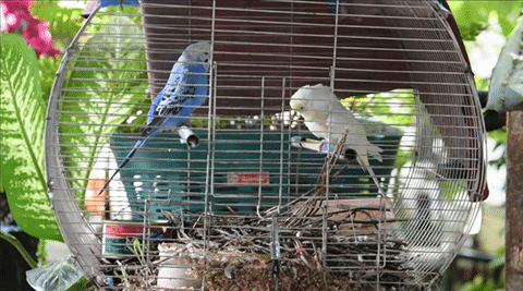 Nikon D7500 กล้อง DSLR ไซส์ APS-C กึ่งโปร รองรับการถ่ายวิดีโอ 4K การันตีรางวัลจาก EISA Nikon D7500 กล้อง DSLR ไซส์ APS-C กึ่งโปร รองรับการถ่ายวิดีโอ 4K การันตีรางวัลจาก EISA