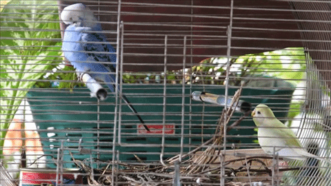 Nikon D7500 กล้อง DSLR ไซส์ APS-C กึ่งโปร รองรับการถ่ายวิดีโอ 4K การันตีรางวัลจาก EISA Nikon D7500 กล้อง DSLR ไซส์ APS-C กึ่งโปร รองรับการถ่ายวิดีโอ 4K การันตีรางวัลจาก EISA