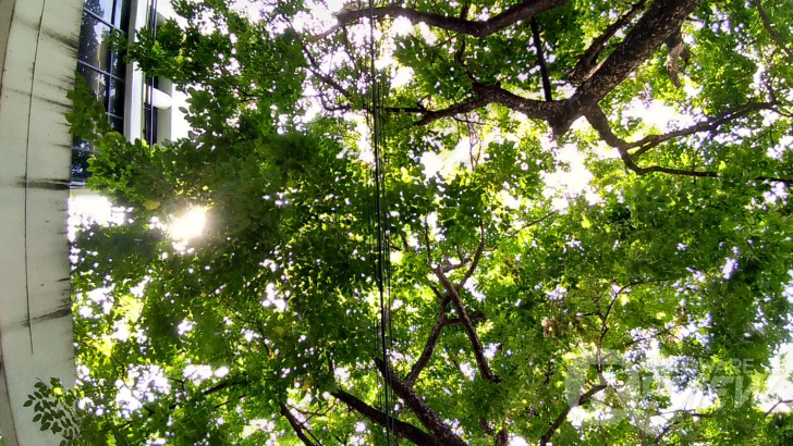 ASUS Zenfone 4 MAX Pro แบตอึดสะใจ ชัดดีด้วยกล้องคู่ กล้องหน้าเซลฟี่ ใช้งานได้ตลอดวัน