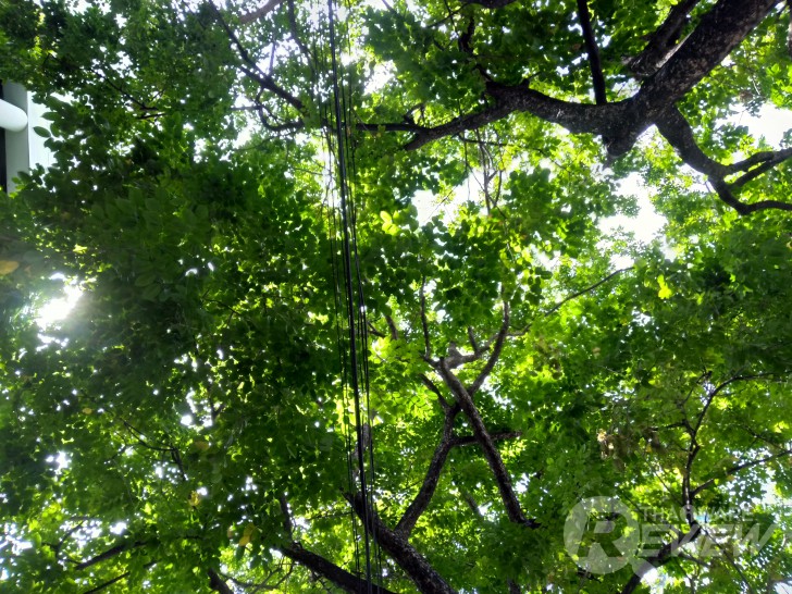 ASUS Zenfone 4 MAX Pro แบตอึดสะใจ ชัดดีด้วยกล้องคู่ กล้องหน้าเซลฟี่ ใช้งานได้ตลอดวัน