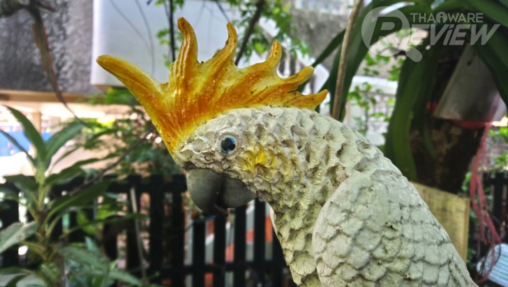 Sony Xperia XA1 Ultra สมาร์ทโฟนจอใหญ่ 6 นิ้ว ภาพสวยเสียงดี ในราคาที่ใครก็เป็นเจ้าของได้