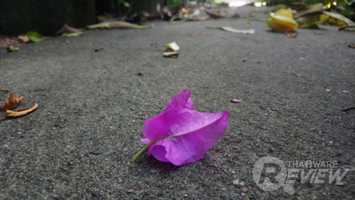 Sony Xperia XA1 Ultra สมาร์ทโฟนจอใหญ่ 6 นิ้ว ภาพสวยเสียงดี ในราคาที่ใครก็เป็นเจ้าของได้