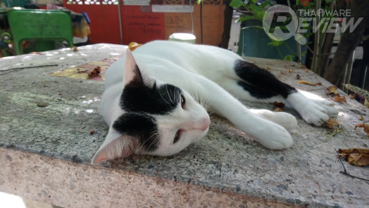 Sony Xperia XA1 Ultra สมาร์ทโฟนจอใหญ่ 6 นิ้ว ภาพสวยเสียงดี ในราคาที่ใครก็เป็นเจ้าของได้