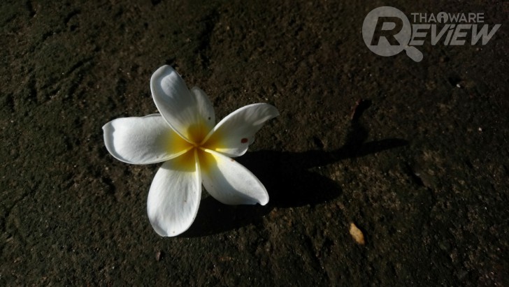 Sony Xperia XA1 Ultra สมาร์ทโฟนจอใหญ่ 6 นิ้ว ภาพสวยเสียงดี ในราคาที่ใครก็เป็นเจ้าของได้